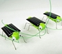 Solar powered Grasshopper Toy (TS0231) Pk/10